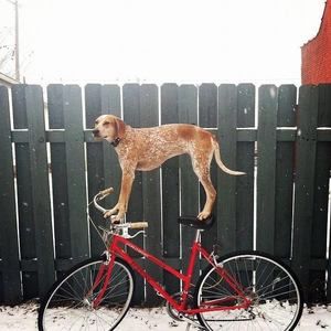 Meet your Posher, Mark